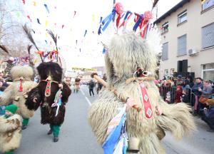 PUST 025 FOTO LJUBO VUKELIČ